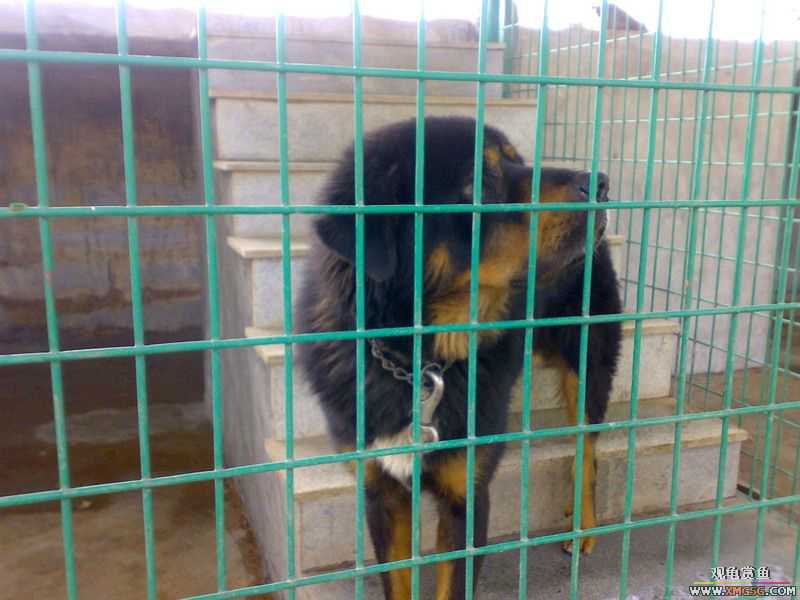 ˽��԰����Ķ���