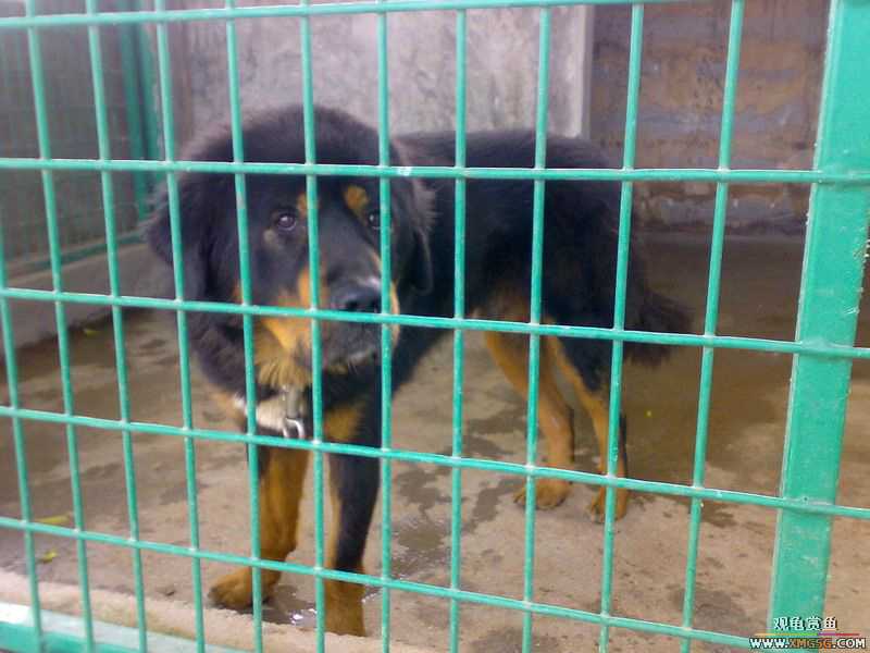 ˽��԰����Ķ���