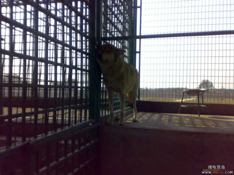 ˽��԰����Ķ���