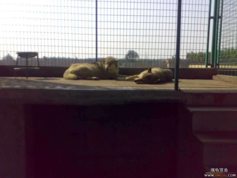 ˽��԰����Ķ���