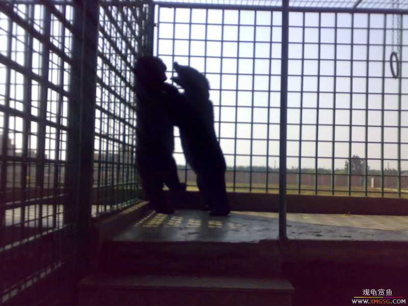 ˽��԰����Ķ���