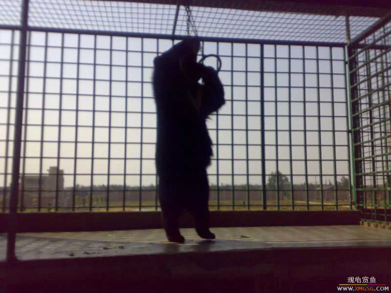 ˽��԰����Ķ���