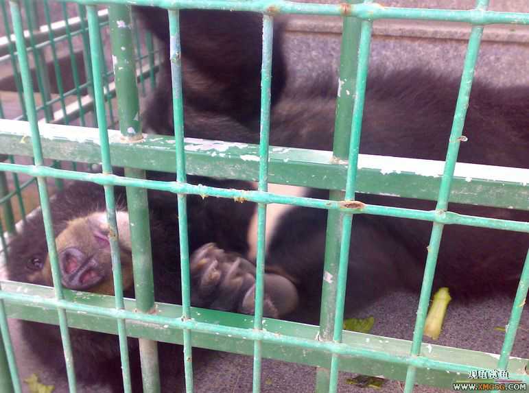 ˽��԰����Ķ���