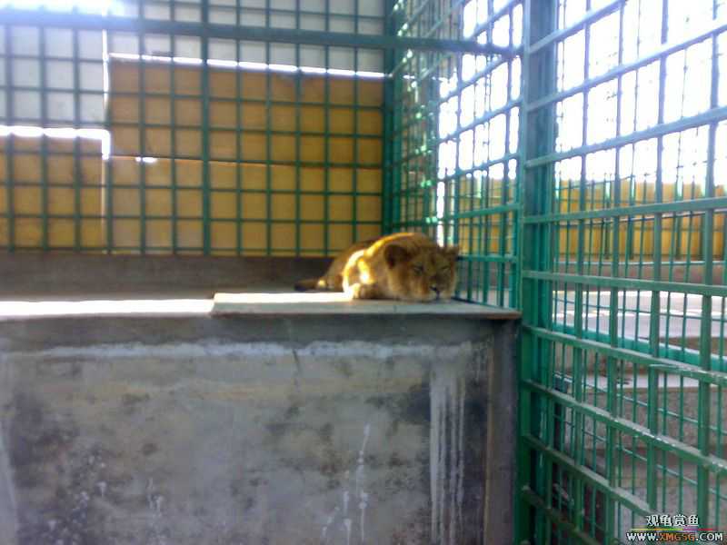 ˽��԰����Ķ���