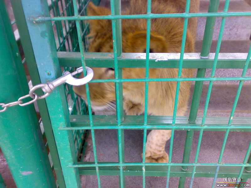 ˽��԰����Ķ���