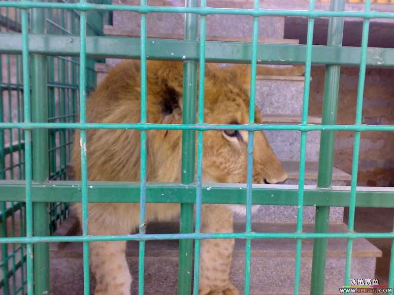 ˽��԰����Ķ���