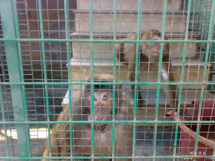 ˽��԰����Ķ���