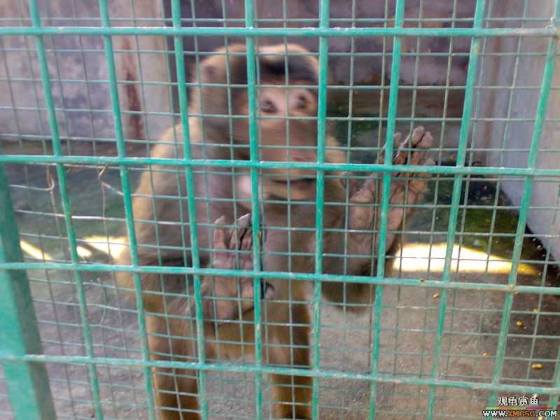 ˽��԰����Ķ���