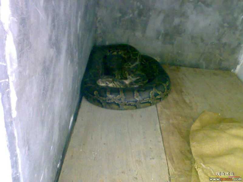 ˽��԰����Ķ���