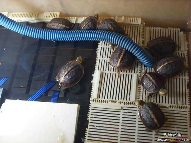 ���ϴ�æ,����һ�������Ǻ�!