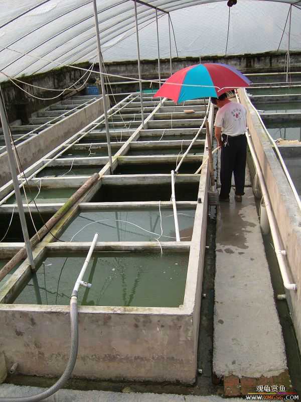 [����]���˽ڲ�����