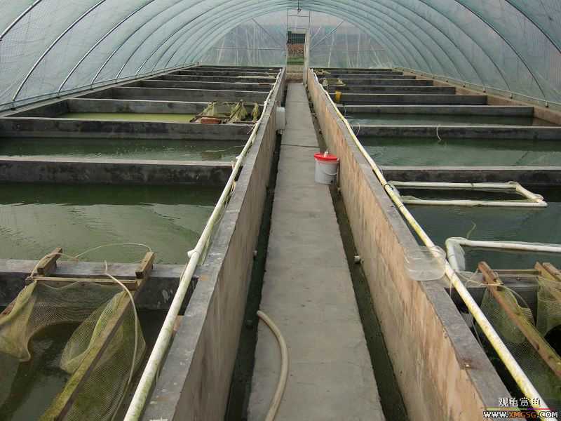 [����]���˽ڲ�����