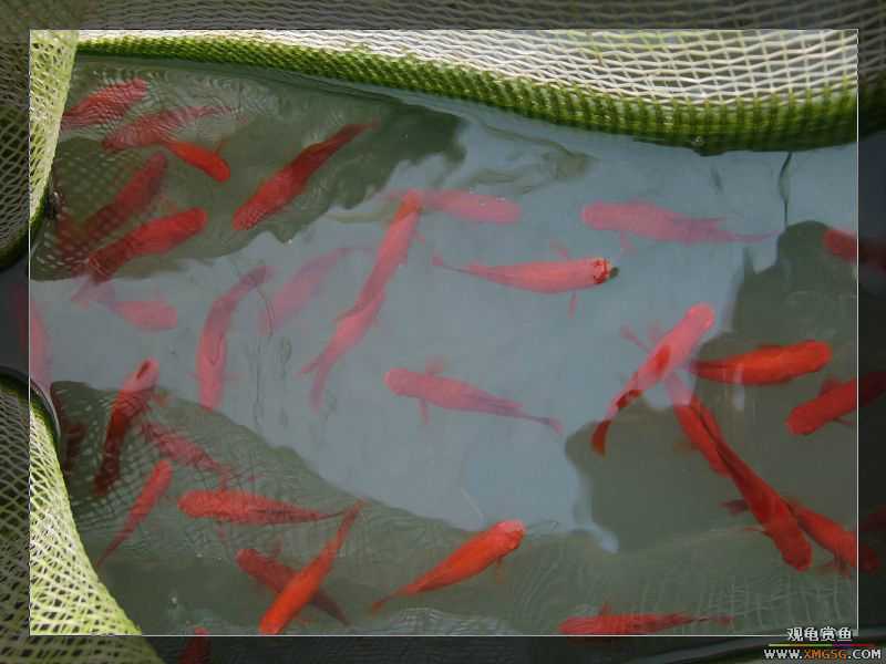 [����]���˽ڲ�����