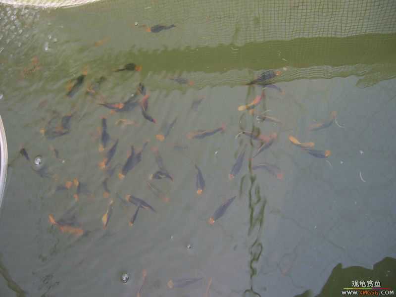 [����]���˽ڲ�����