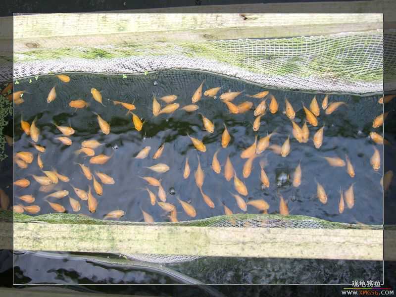 [����]���˽ڲ�����