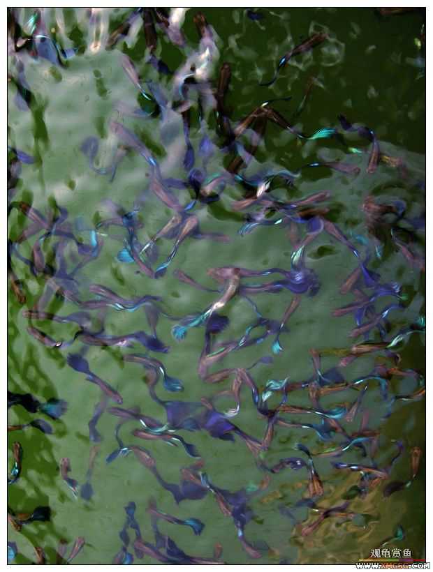 [����]���˽ڲ�����