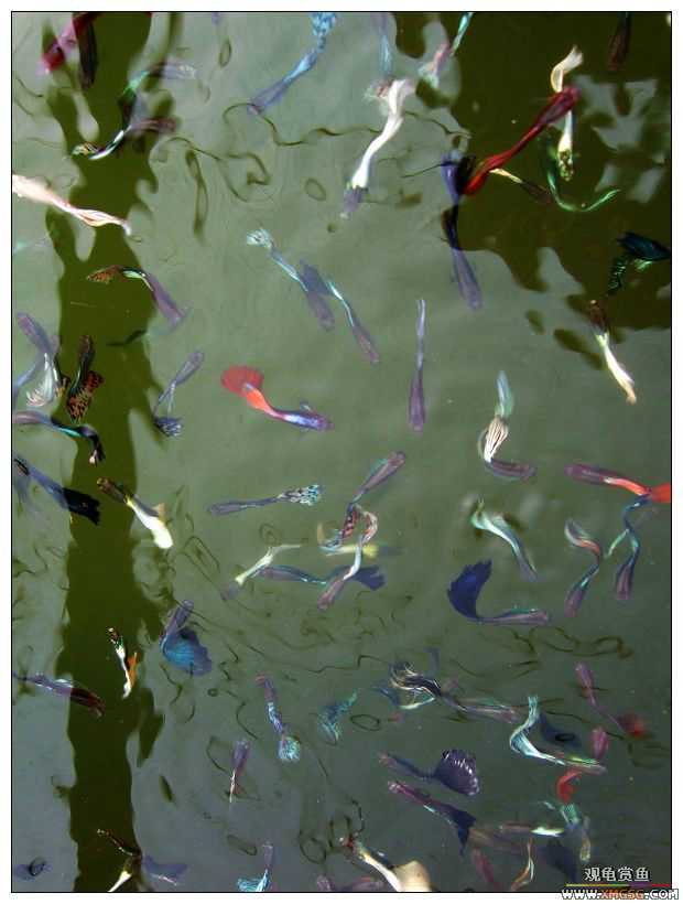 [����]���˽ڲ�����