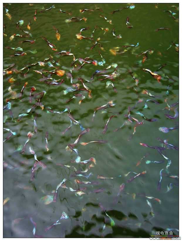 [����]���˽ڲ�����