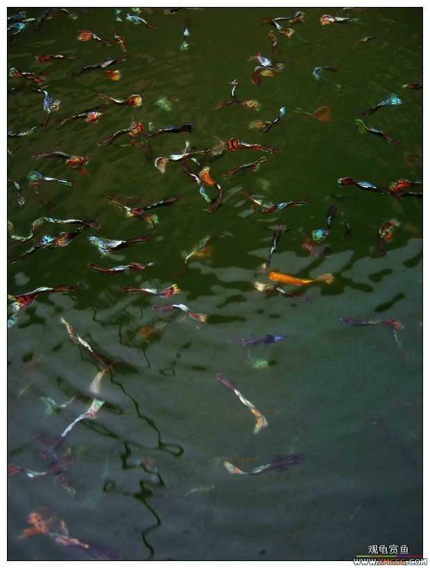 [����]���˽ڲ�����