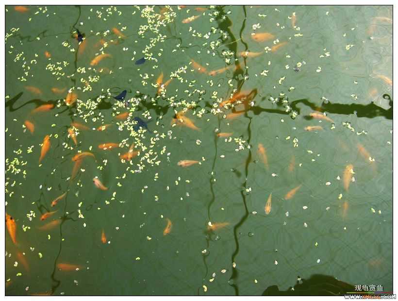 [����]���˽ڲ�����