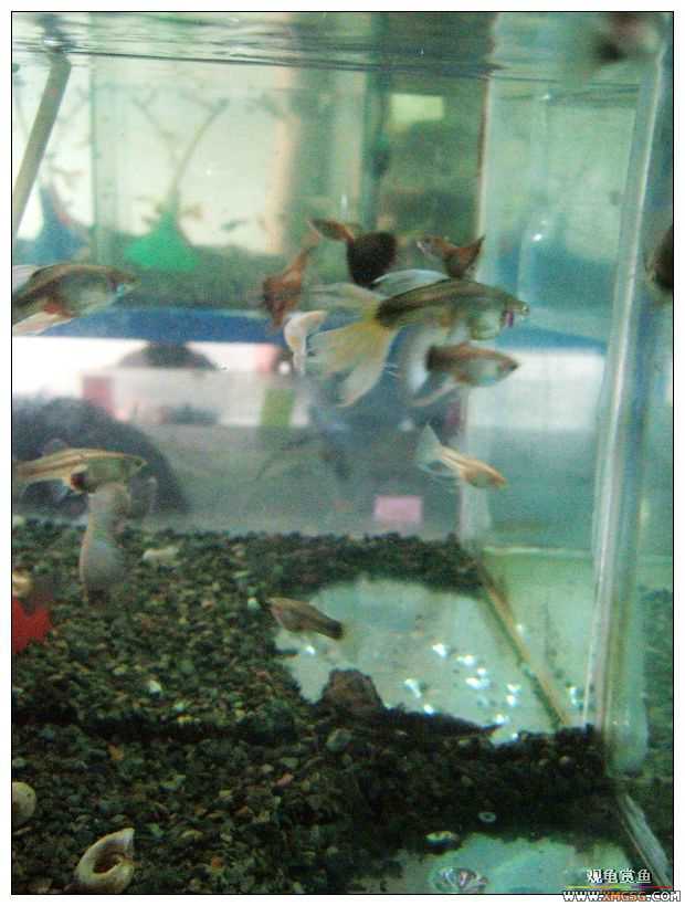 [����]���˽ڲ�����