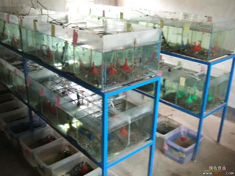 [����]���˽ڲ�����