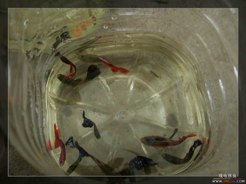 [����]���˽ڲ�����