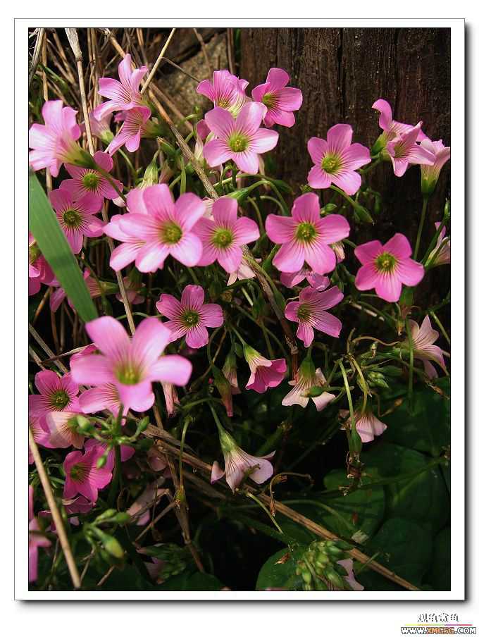 [����]���˽ڲ�����