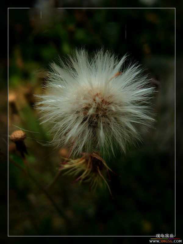 [����]���˽ڲ�����