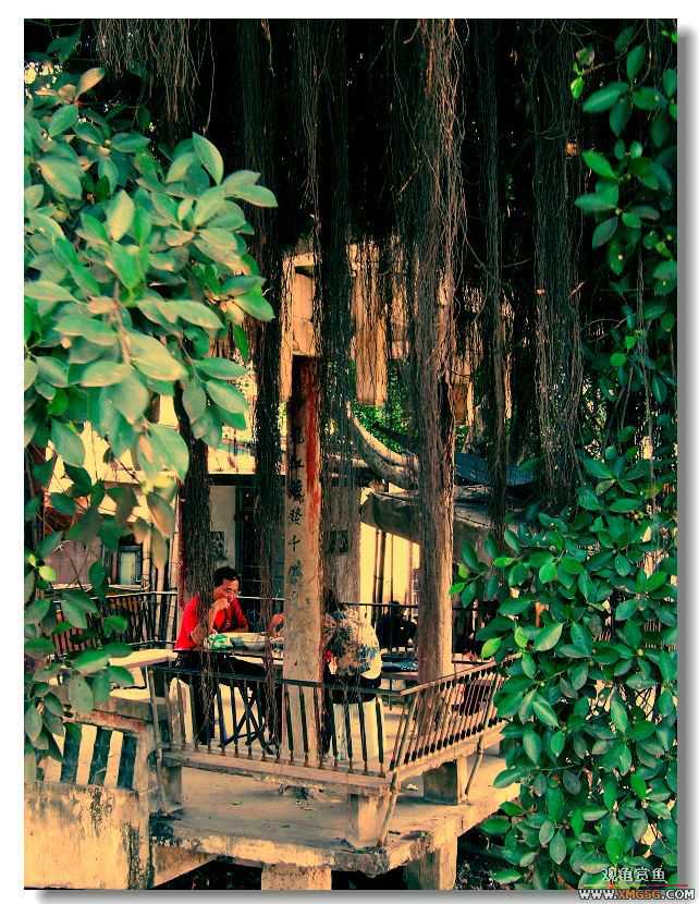 [����]���˽ڲ�����