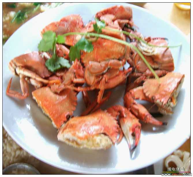 [����]���˽ڲ�����