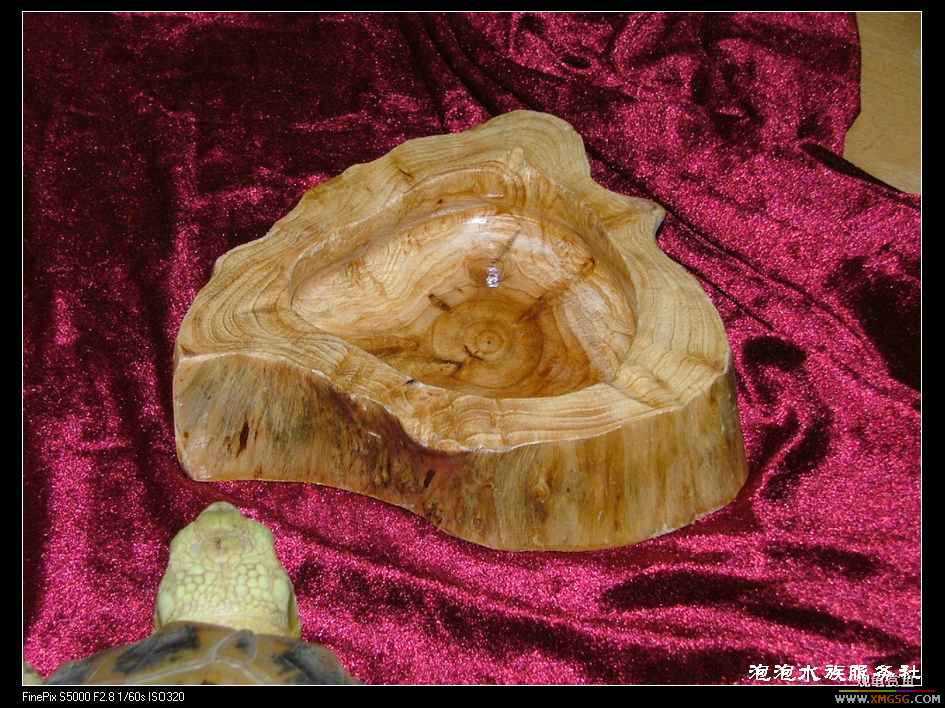 [���ݷ�����]����Ȼɼľ·��ʳ��