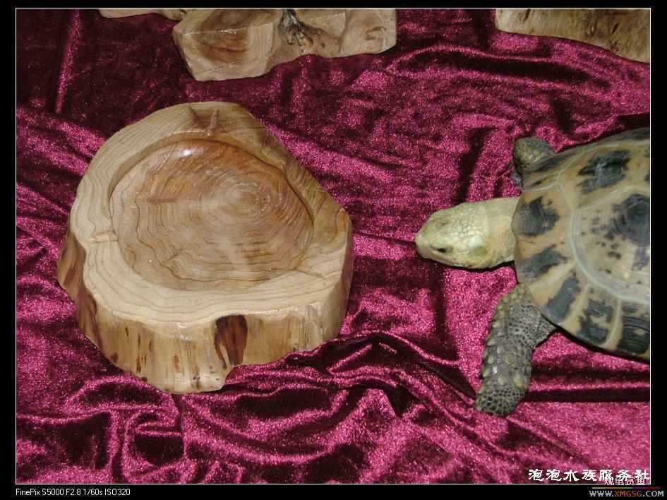 [���ݷ�����]����Ȼɼľ·��ʳ��