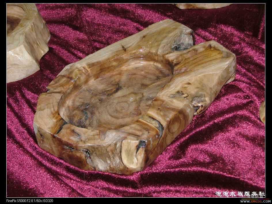 [���ݷ�����]����Ȼɼľ·��ʳ��