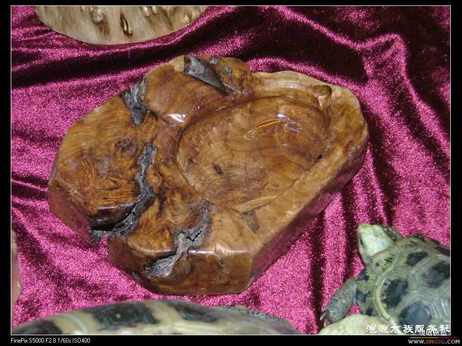 [���ݷ�����]����Ȼɼľ·��ʳ��