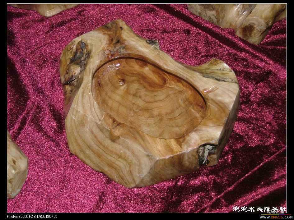 [���ݷ�����]����Ȼɼľ·��ʳ��