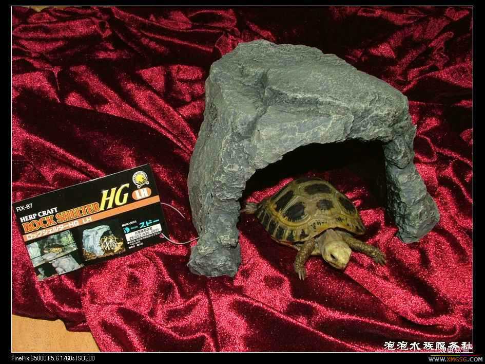 [���ݷ�����]�ձ�����SUDO--�µ���ʯ�� ������Ƭ