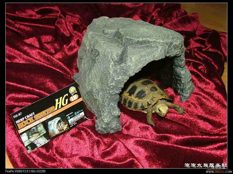 [���ݷ�����]�ձ�����SUDO--�µ���ʯ�� ������Ƭ