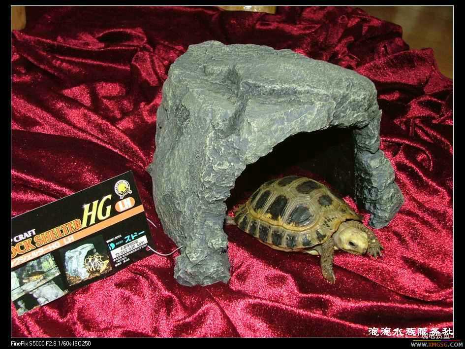 [���ݷ�����]�ձ�����SUDO--�µ���ʯ�� ������Ƭ