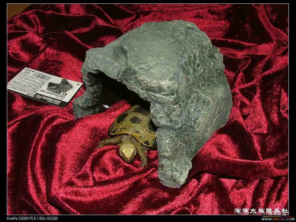 [���ݷ�����]�ձ�����SUDO--�µ���ʯ�� ������Ƭ