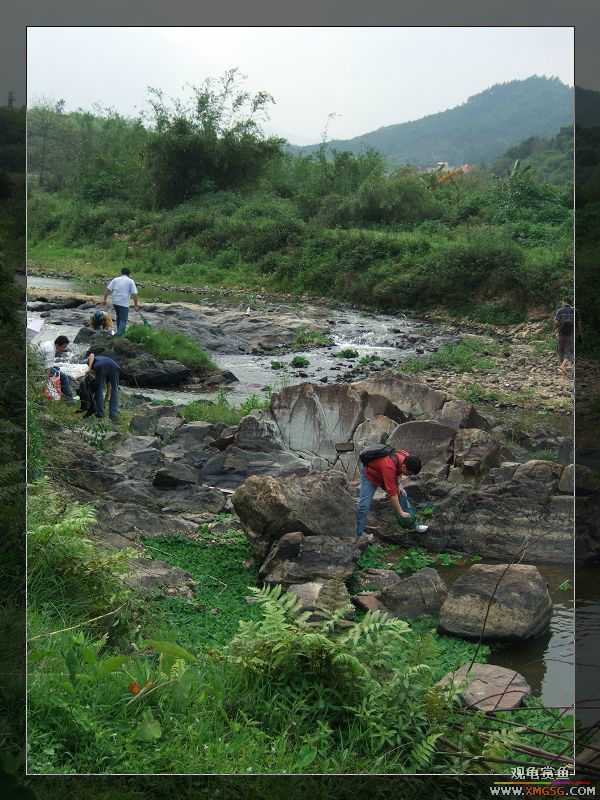 [����]���˽ڲ�����