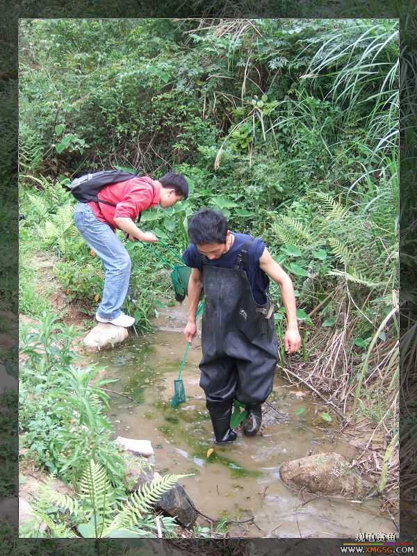 [����]���˽ڲ�����