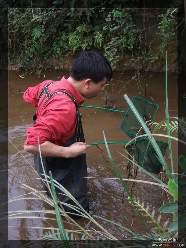 [����]���˽ڲ�����