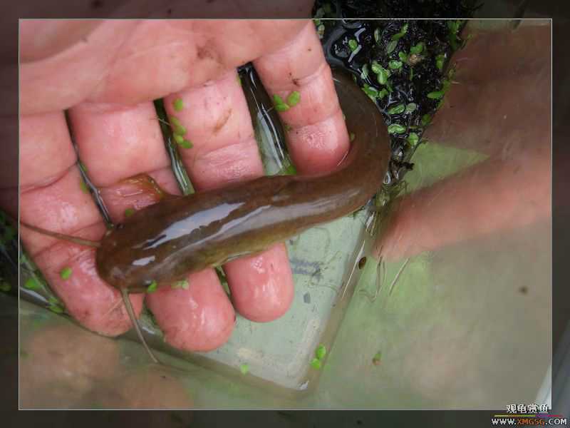 [����]���˽ڲ�����