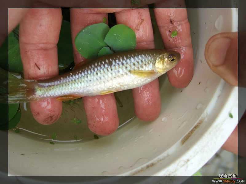 [����]���˽ڲ�����