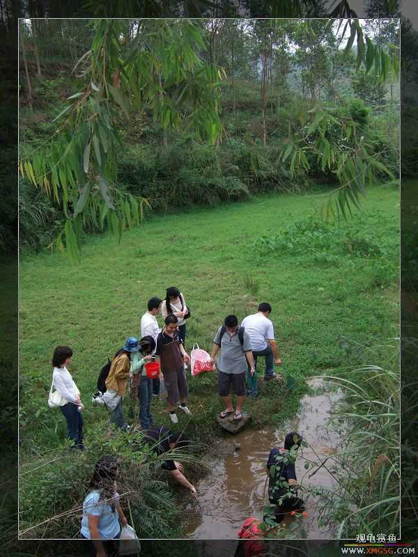 [����]���˽ڲ�����