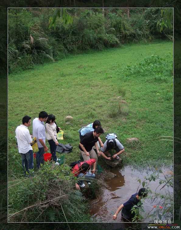 [����]���˽ڲ�����