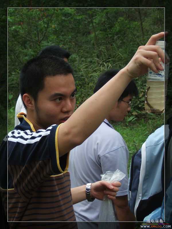 [����]���˽ڲ�����