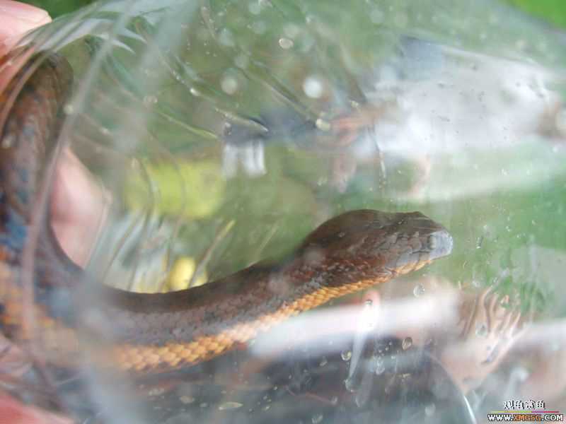 [����]���˽ڲ�����