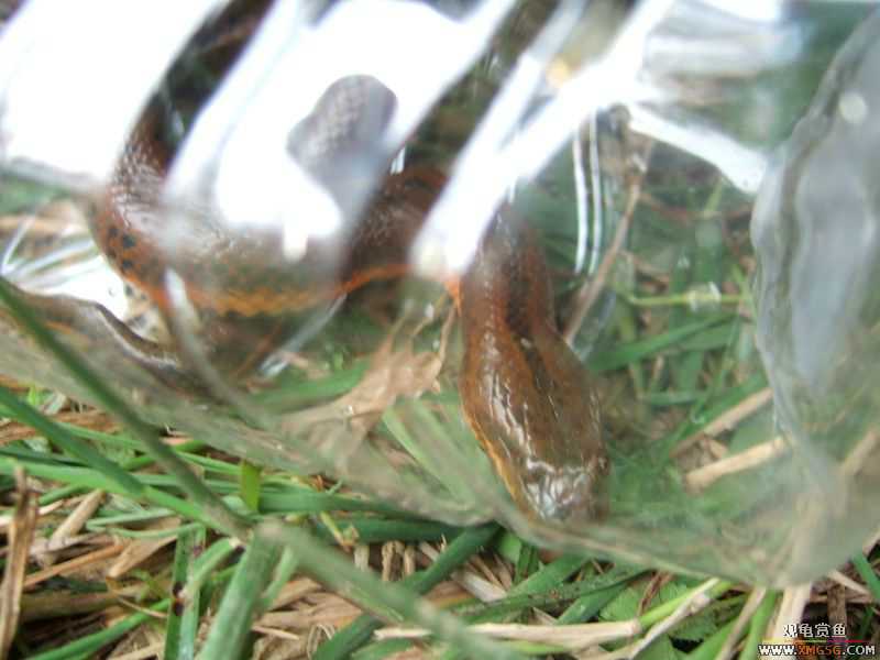 [����]���˽ڲ�����